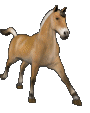 horse1.gif
